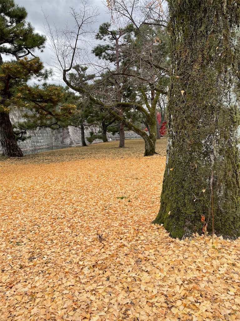 f:id:tabiryokouchang:20201216112227j:image