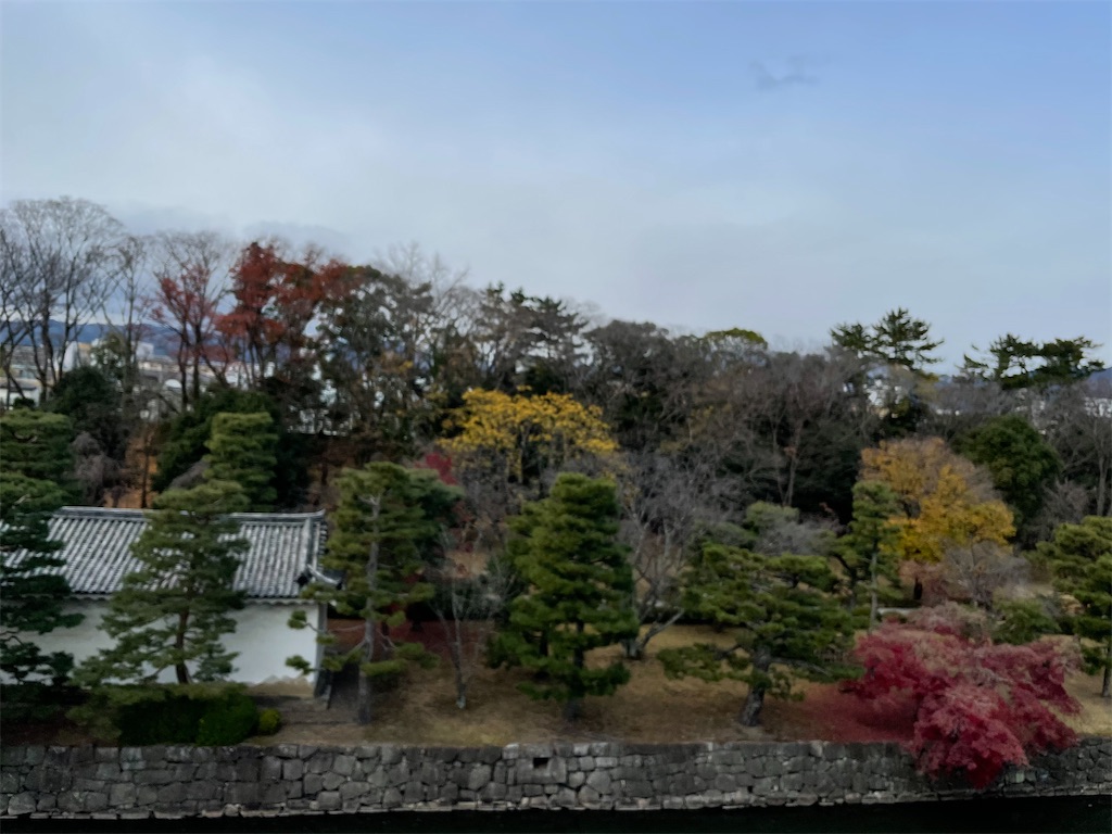f:id:tabiryokouchang:20201216112240j:image