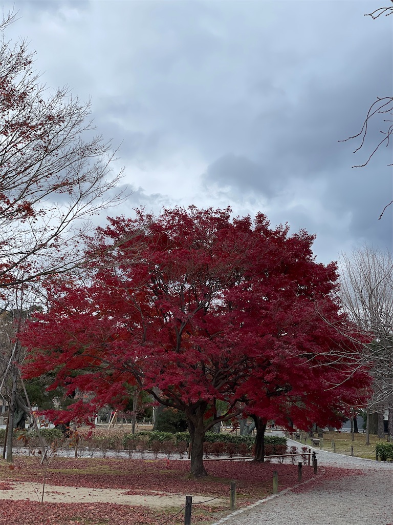 f:id:tabiryokouchang:20201216112253j:image