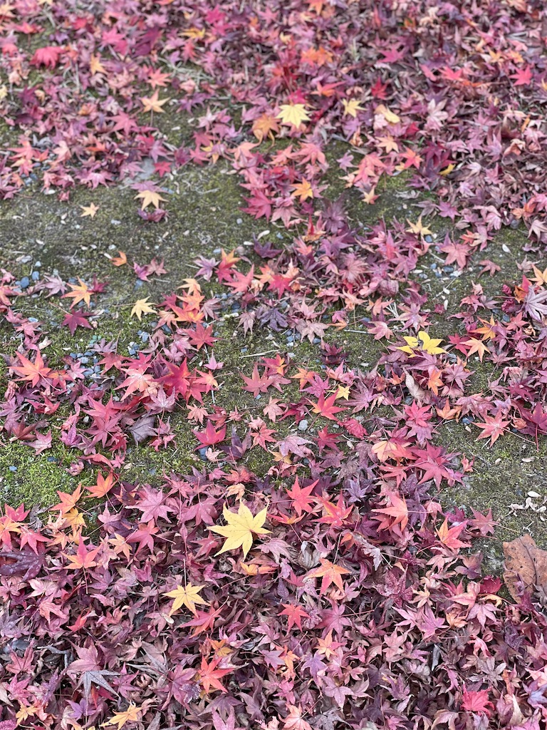 f:id:tabiryokouchang:20201216112332j:image