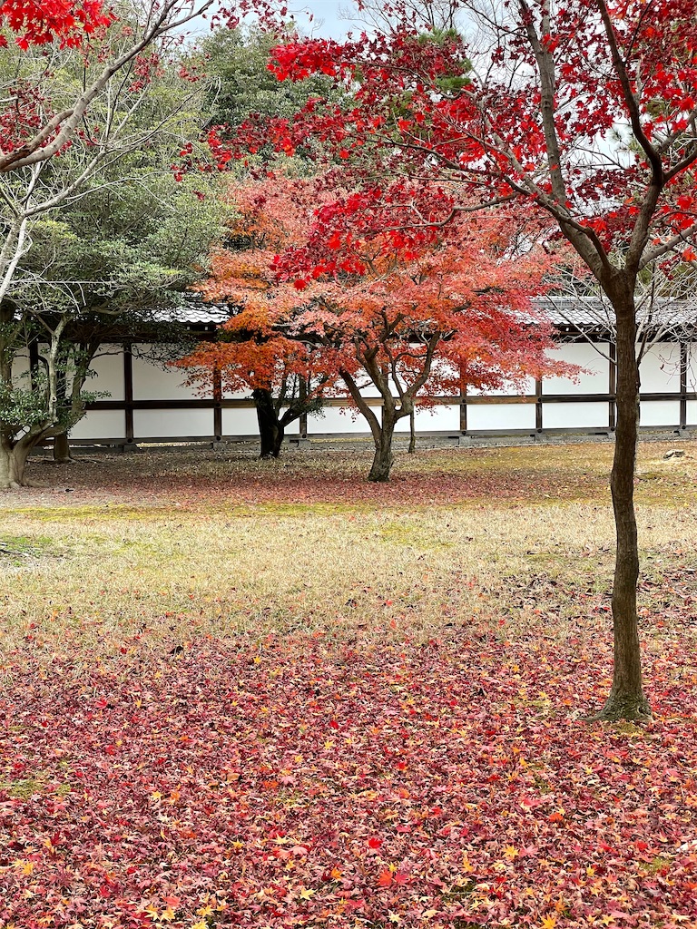 f:id:tabiryokouchang:20201216112409j:image