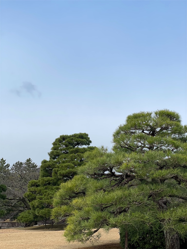 f:id:tabiryokouchang:20201216112504j:image
