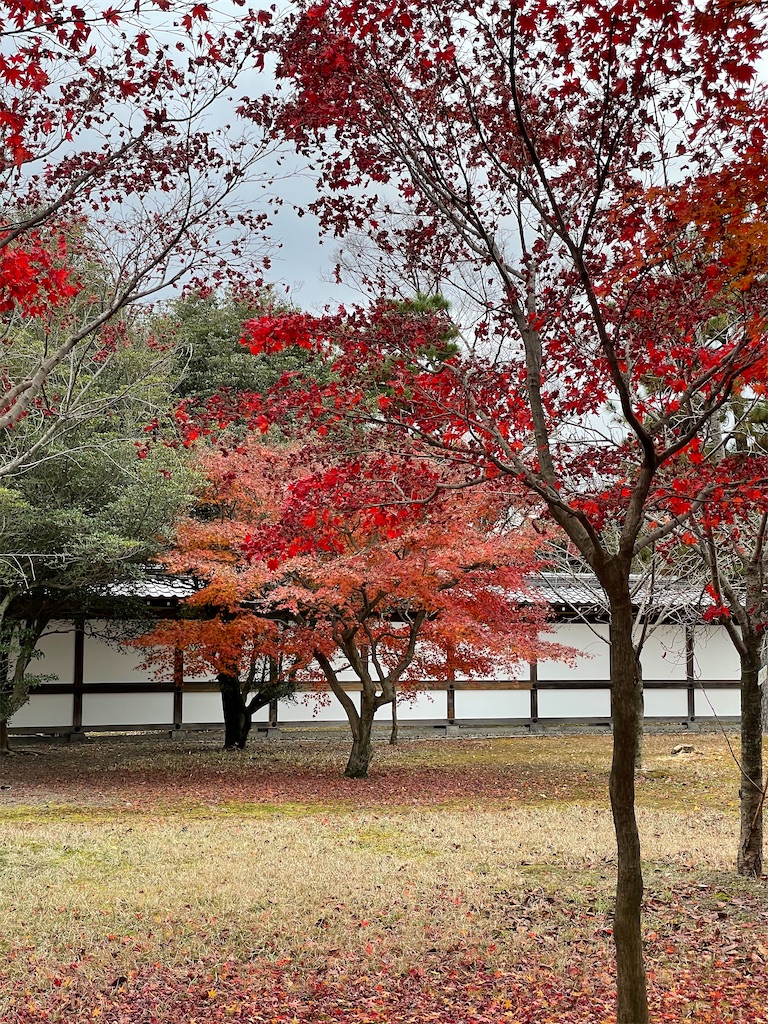 f:id:tabiryokouchang:20201216113121j:image