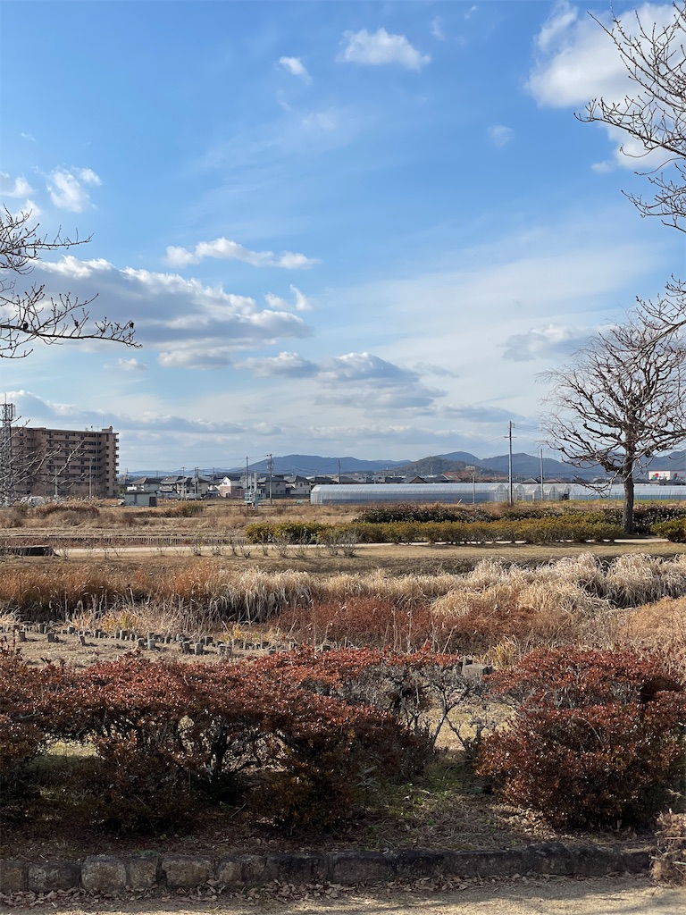 f:id:tabiryokouchang:20210103200655j:image