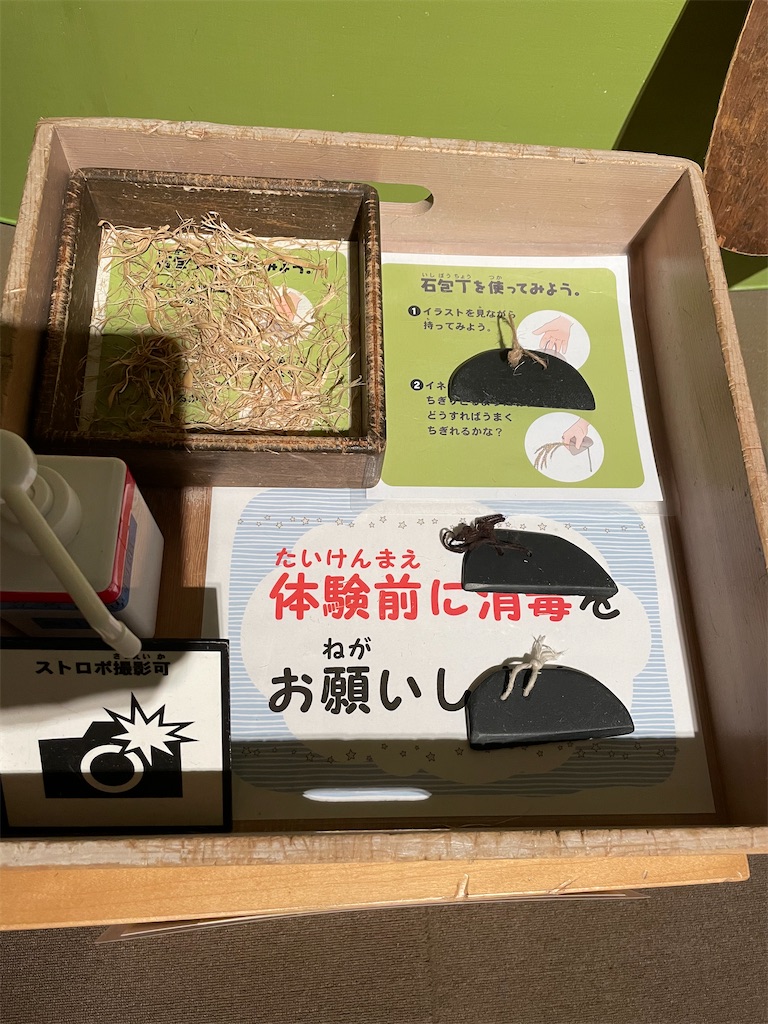 f:id:tabiryokouchang:20210107194343j:image