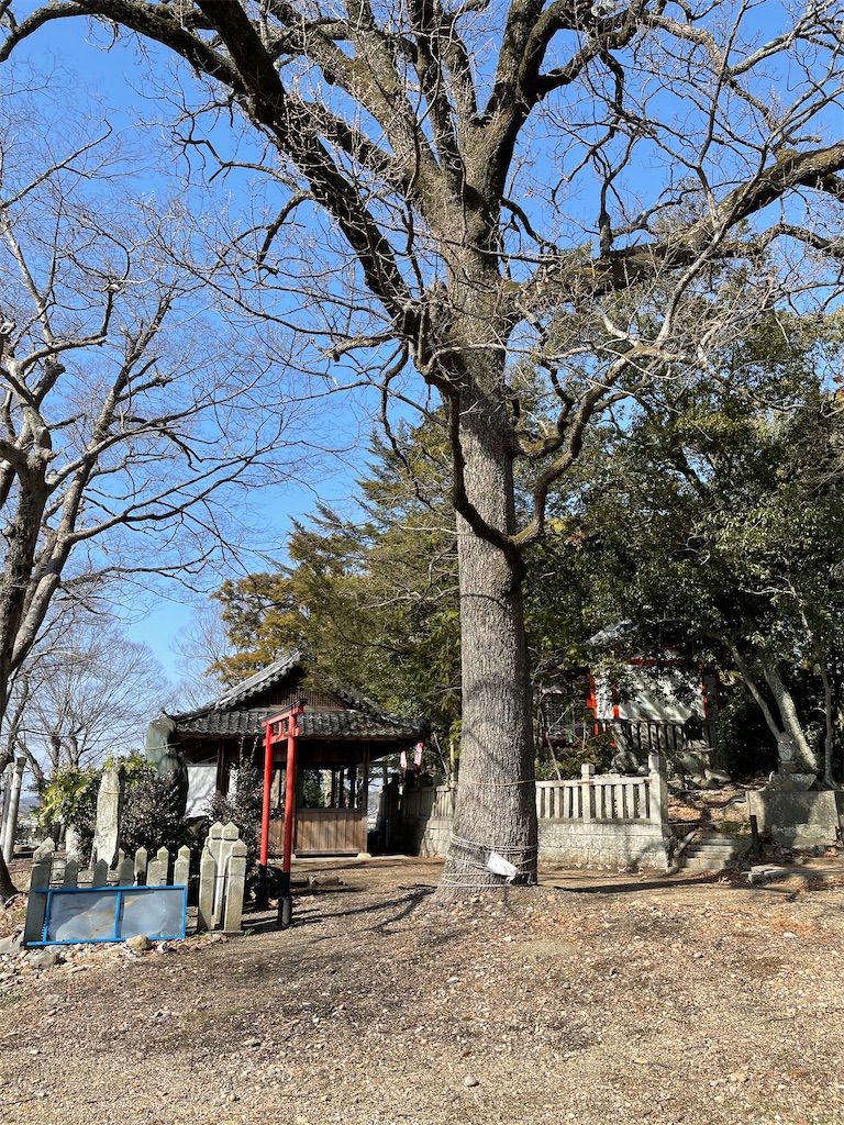 f:id:tabiryokouchang:20210222094523j:image