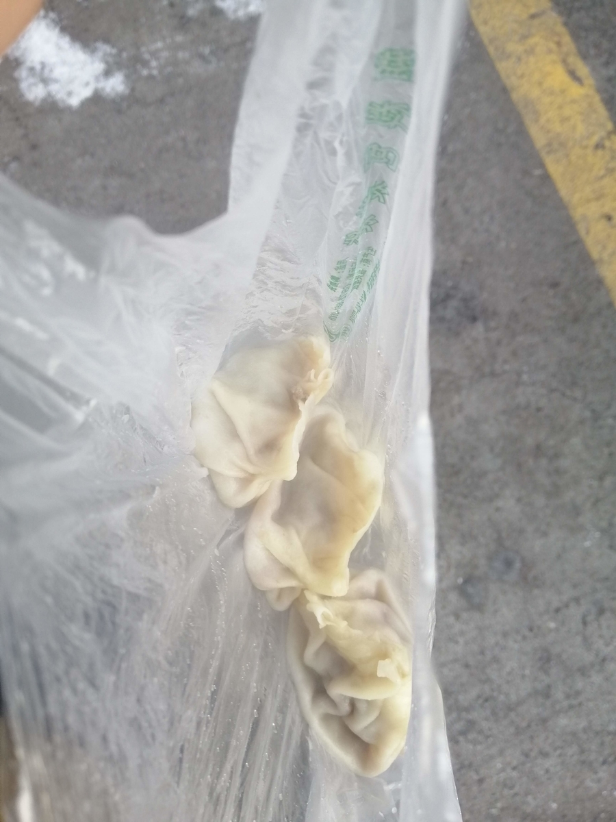 ホルゴス国際バスターミナルで買った水餃子