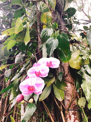 f:id:tabisin:20191004214925j:image f:id:tabisin:20191004214925j:image