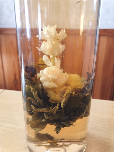 f:id:tabisin:20191023140712j:image