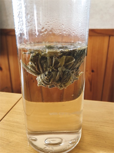 f:id:tabisin:20191023140718j:image