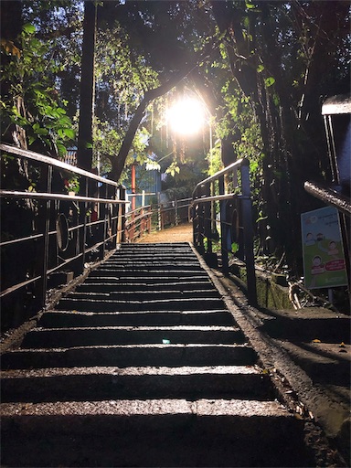 f:id:tabisin:20191102030331j:image