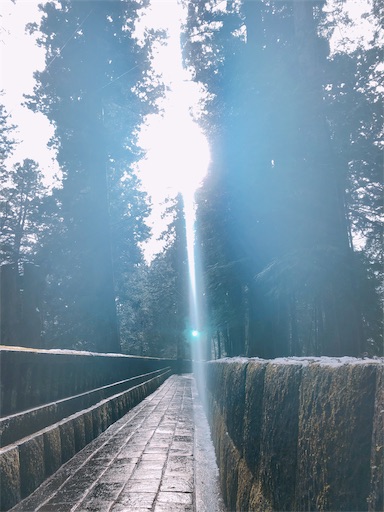 f:id:tabisin:20191113130646j:image