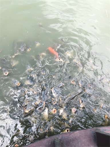 f:id:tabisin:20191117221959j:image