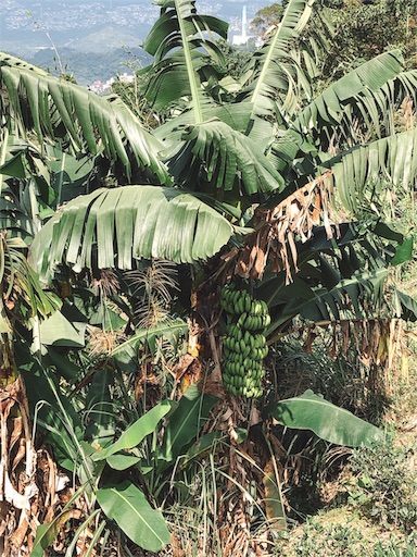 f:id:tabisin:20191119123024j:image