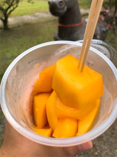 f:id:tabisin:20191127004259j:image