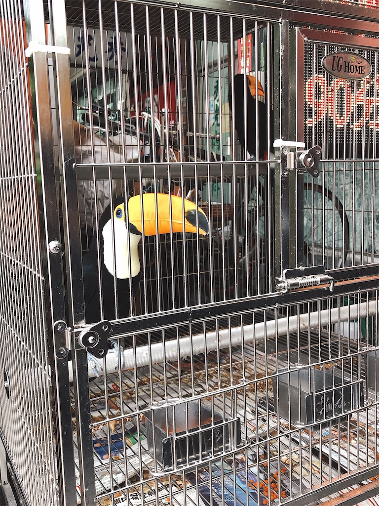 f:id:tabisin:20191208232252j:image