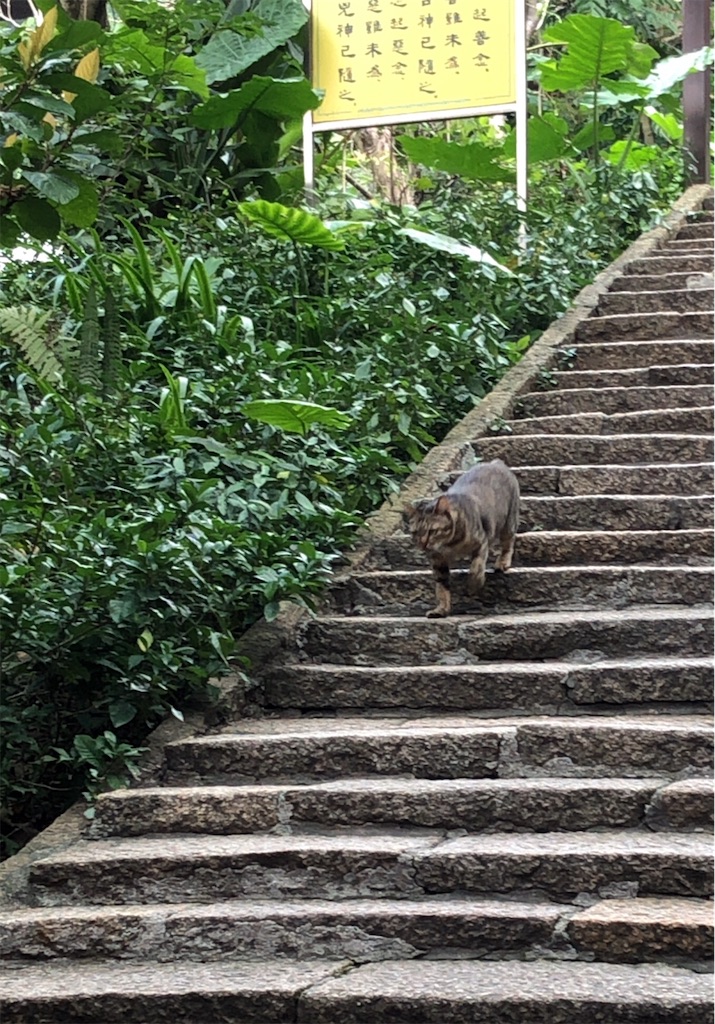 f:id:tabisin:20191215225807j:image