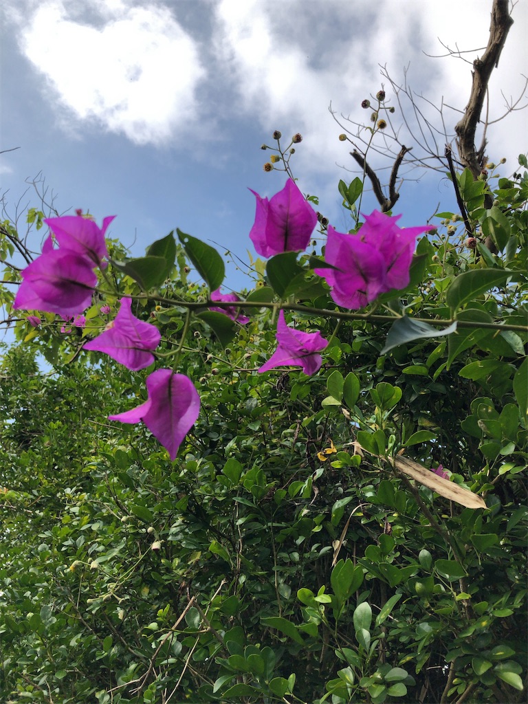 f:id:tabisin:20191216220156j:image
