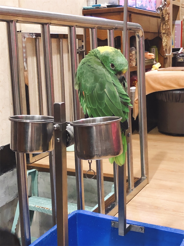 f:id:tabisin:20200309221819j:image