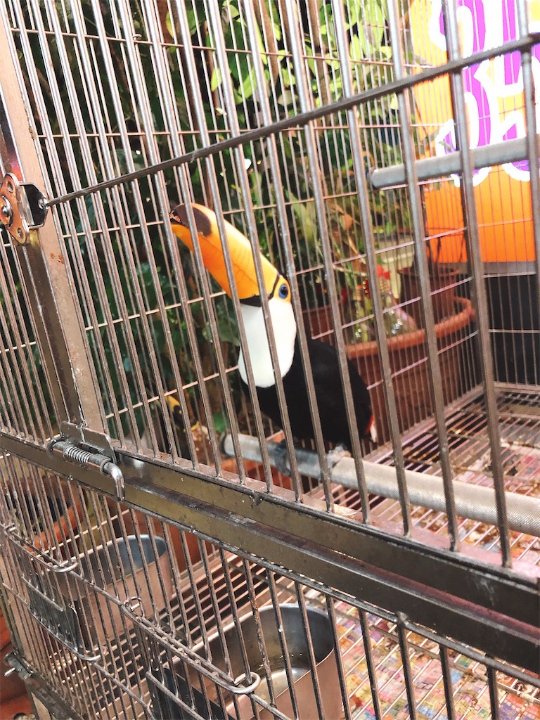 f:id:tabisin:20200309223023j:image