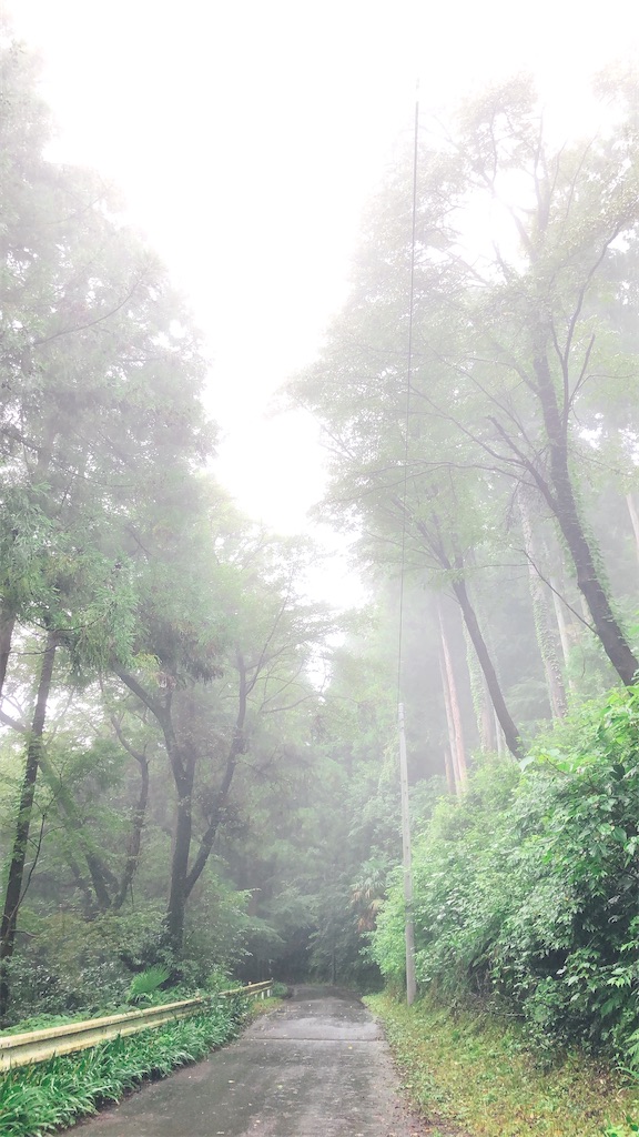 f:id:tabisin:20200801224034j:image f:id:tabisin:20200801224034j:image
