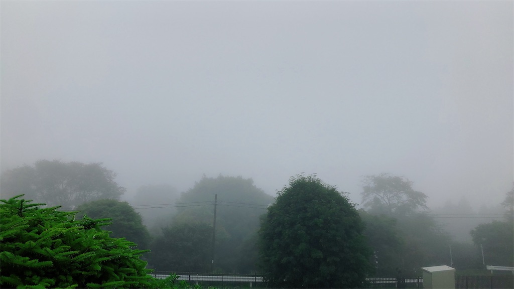 f:id:tabisin:20200801225109j:image f:id:tabisin:20200801225109j:image