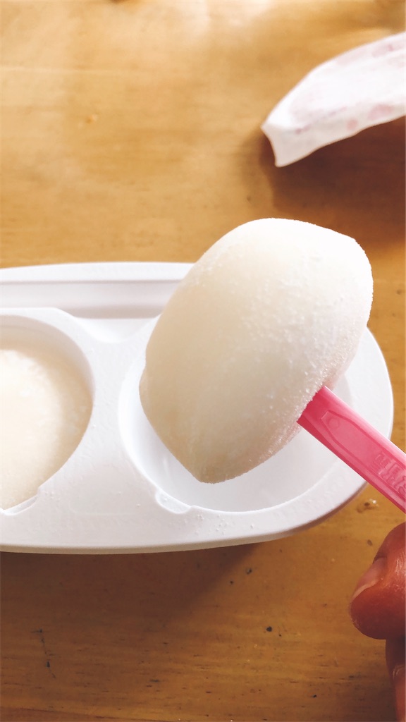 f:id:tabisin:20200806232437j:image