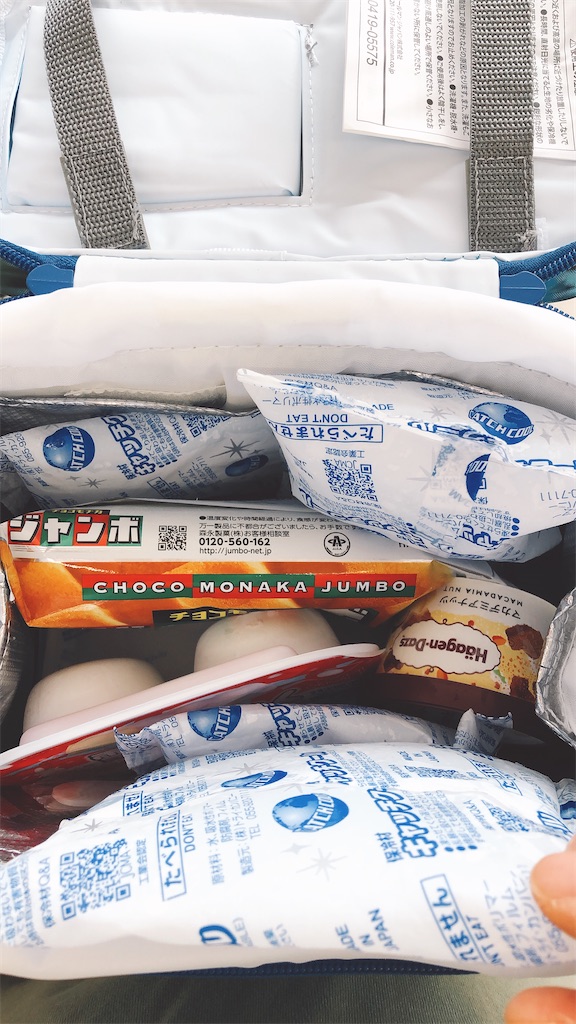 f:id:tabisin:20200806232454j:image