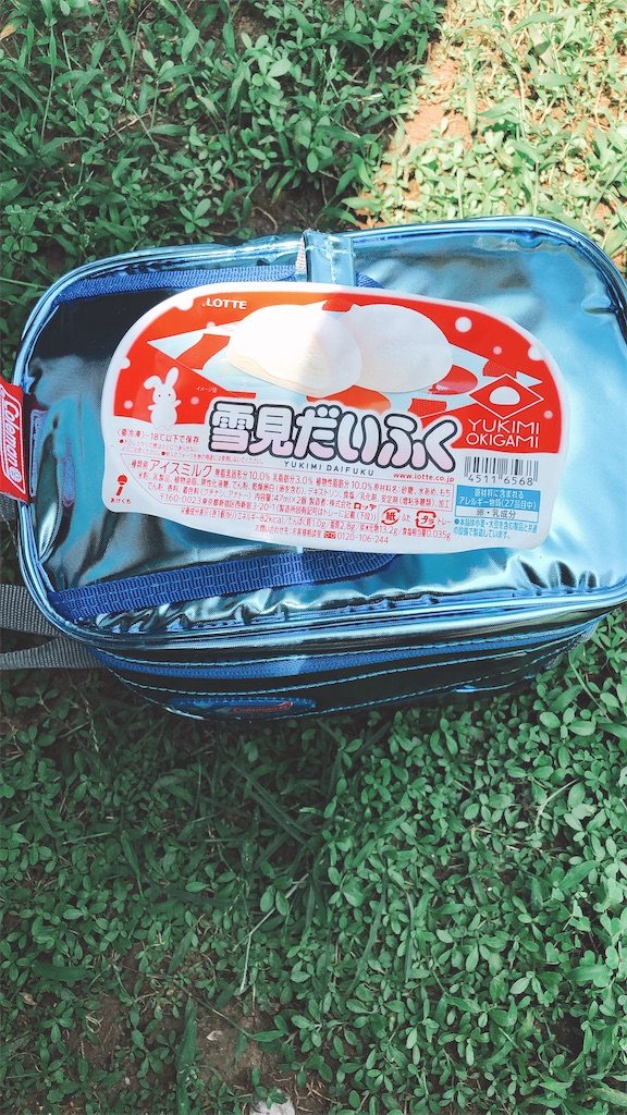 f:id:tabisin:20200806232509j:image