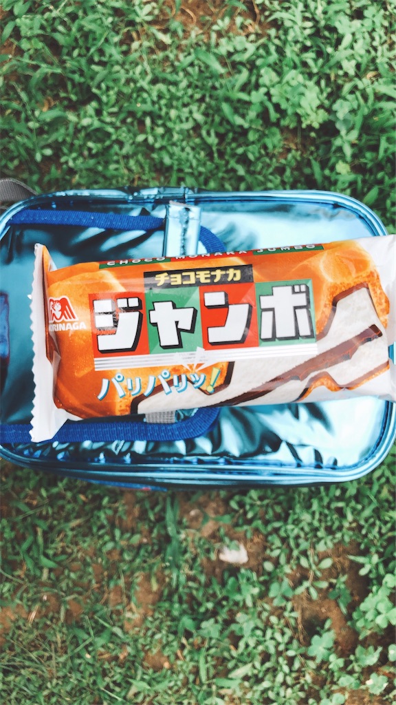 f:id:tabisin:20200806232514j:image