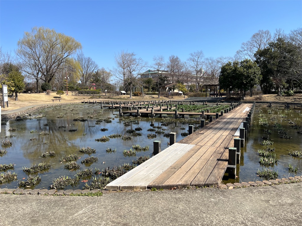 f:id:tabisin:20240316205412j:image