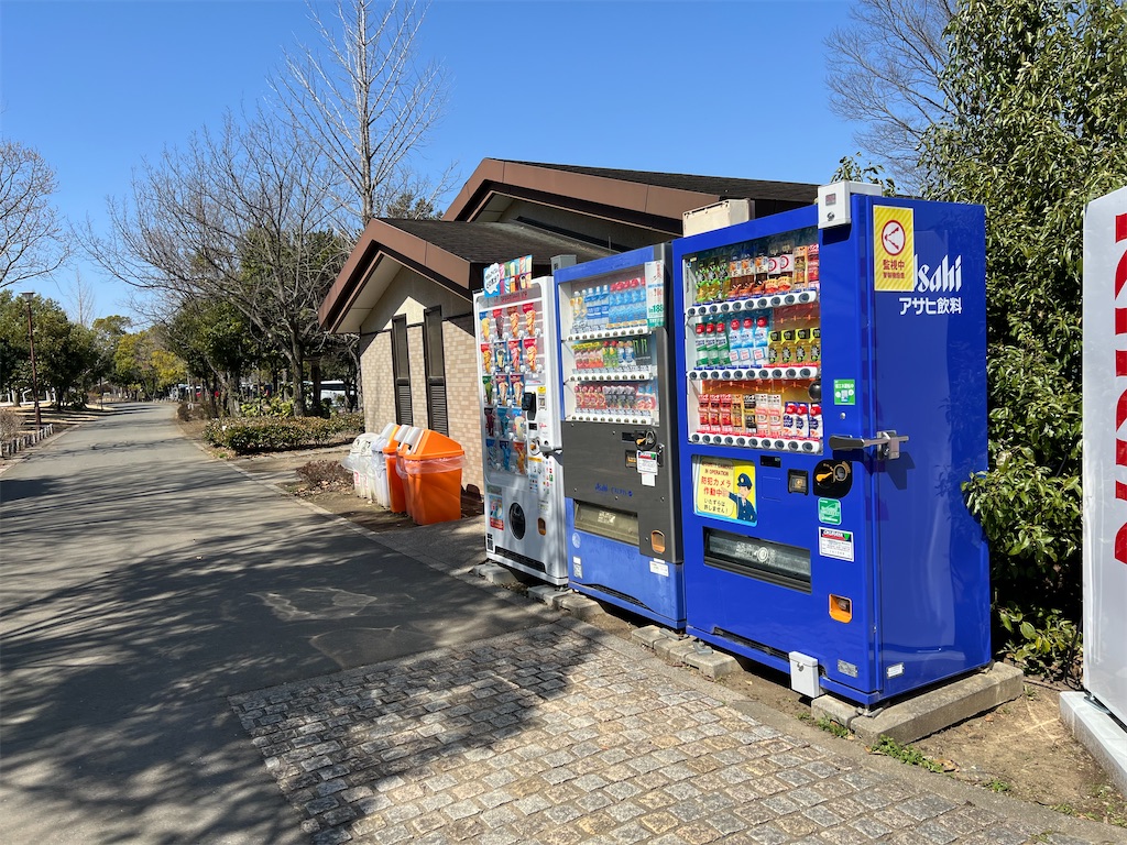 f:id:tabisin:20240316205419j:image