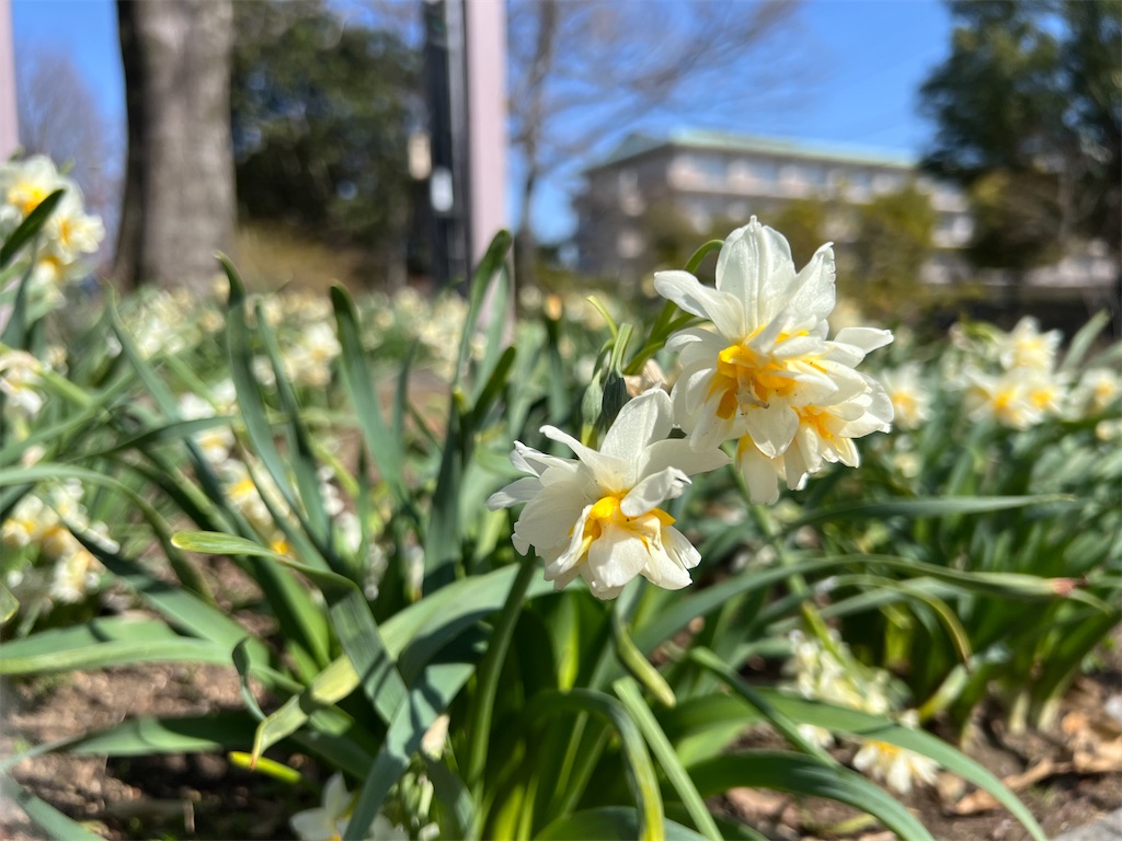 f:id:tabisin:20240316205423j:image