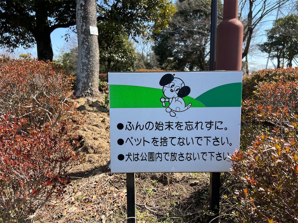 f:id:tabisin:20240316205501j:image