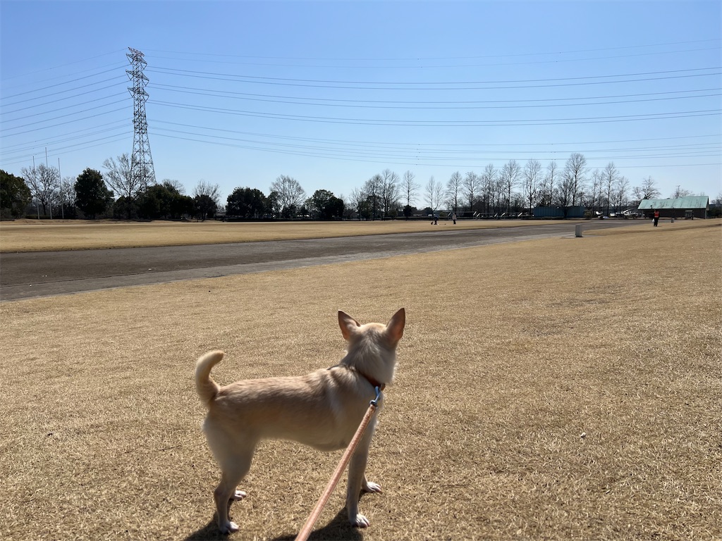 f:id:tabisin:20240316205510j:image