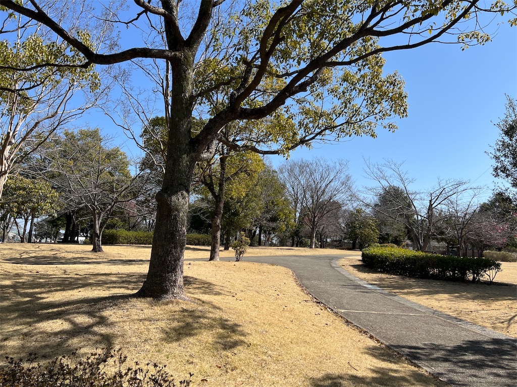 f:id:tabisin:20240316205527j:image