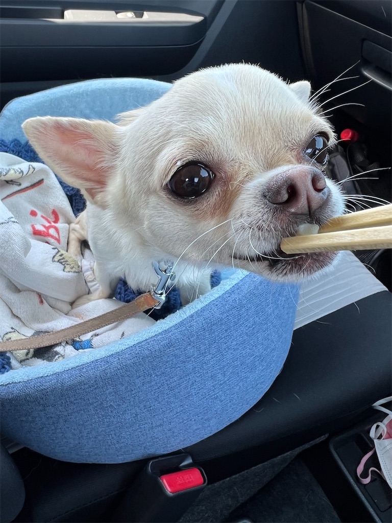 f:id:tabisin:20240316205530j:image