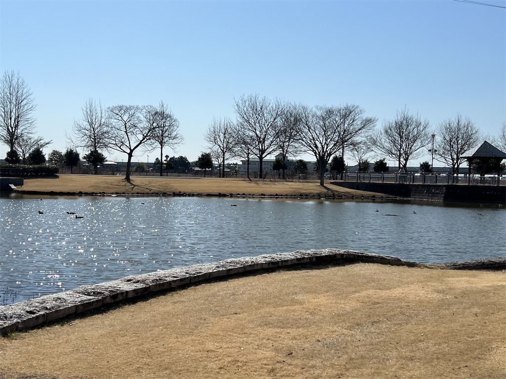 f:id:tabisin:20240316205546j:image