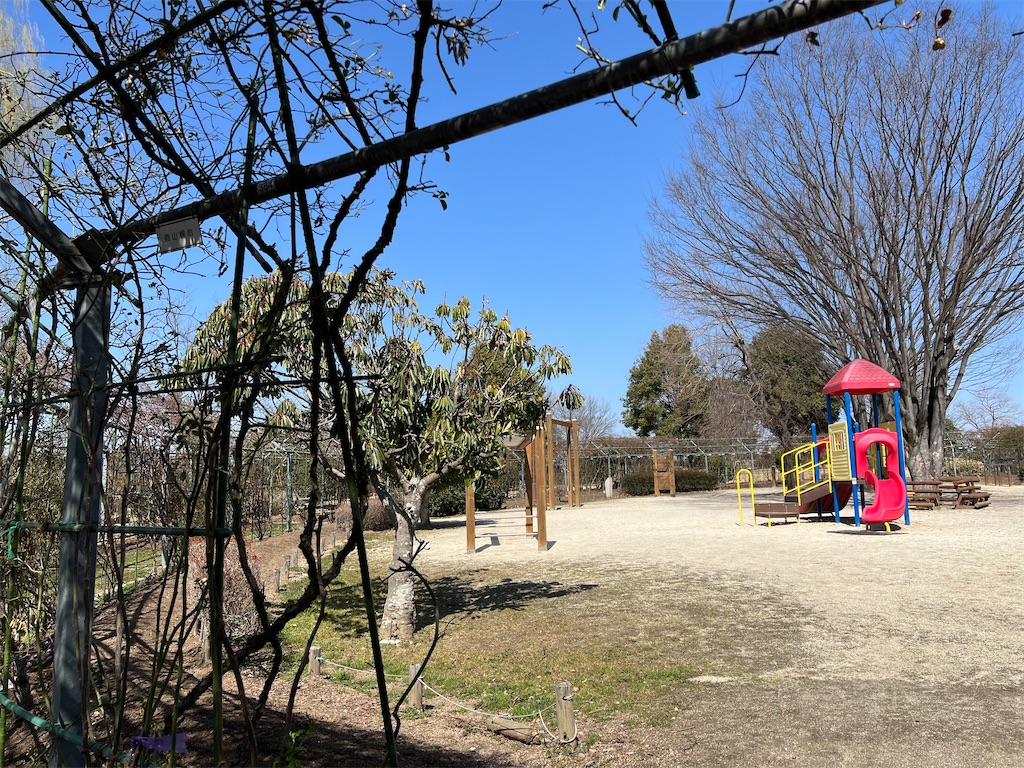 f:id:tabisin:20240316205558j:image