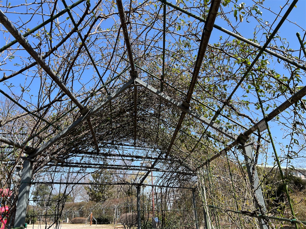 f:id:tabisin:20240316205605j:image