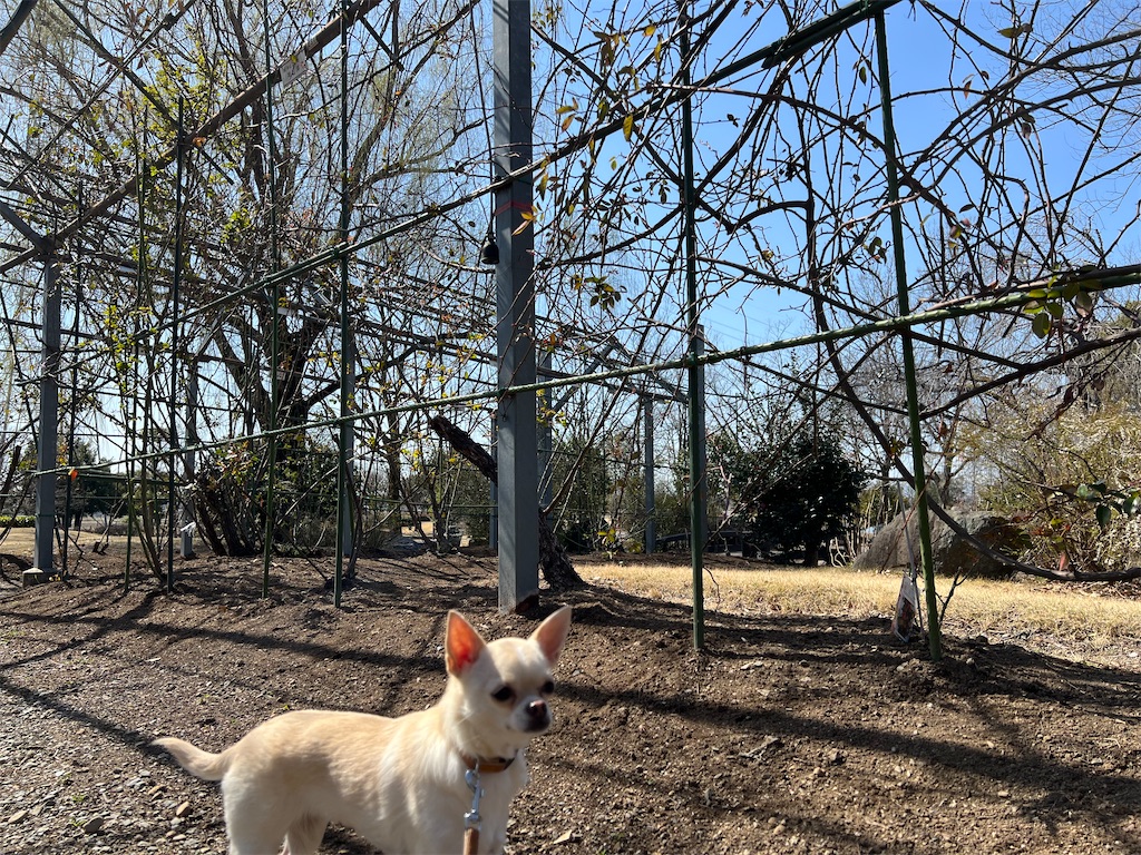 f:id:tabisin:20240316214014j:image