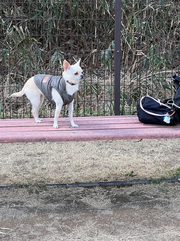 f:id:tabisin:20240324210124j:image