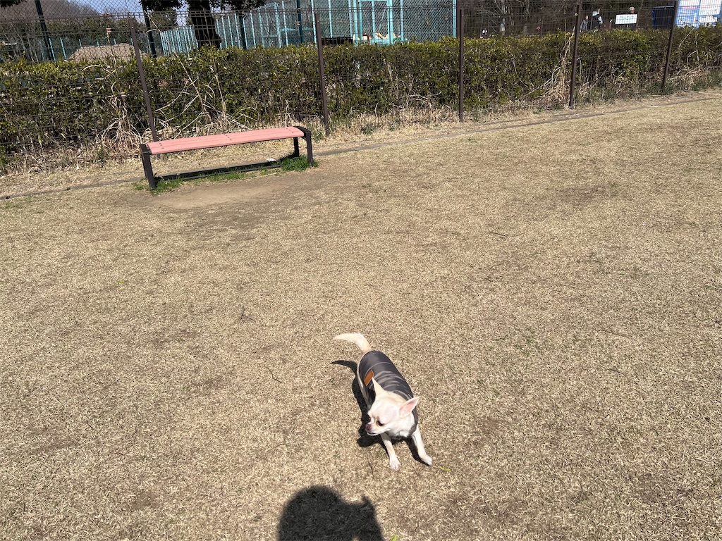 f:id:tabisin:20240324210139j:image