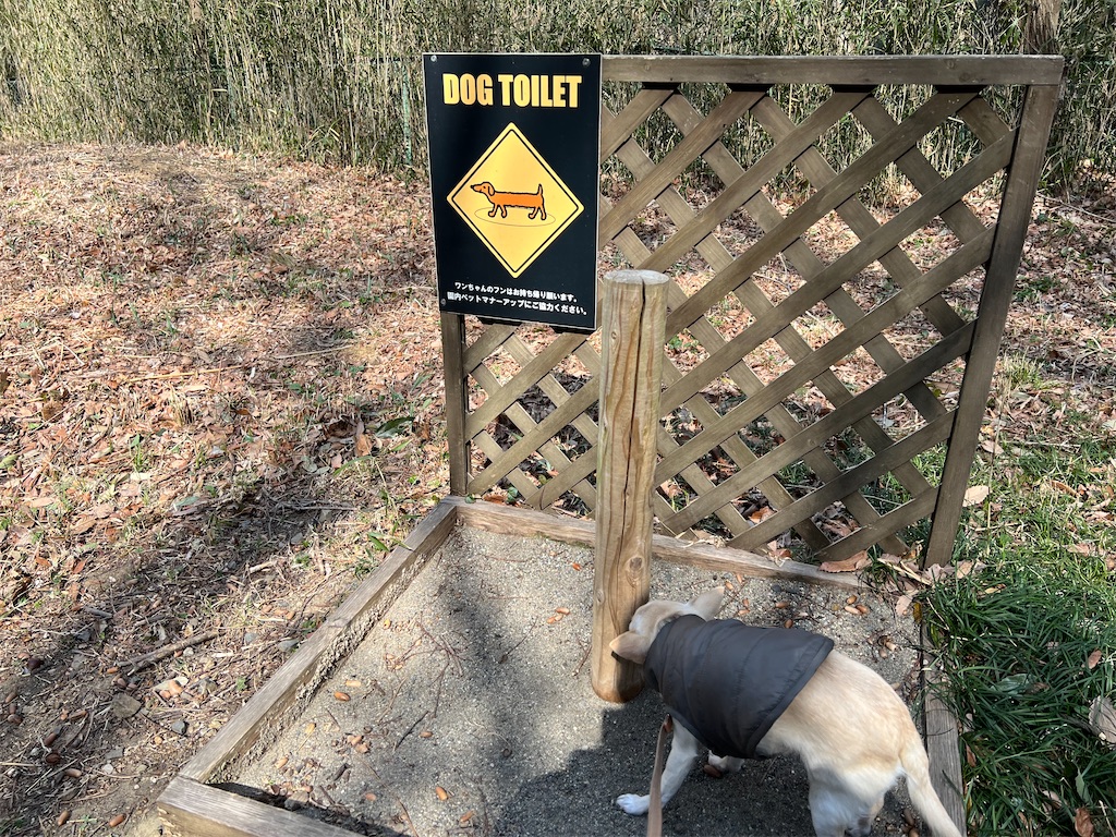 f:id:tabisin:20240324210147j:image