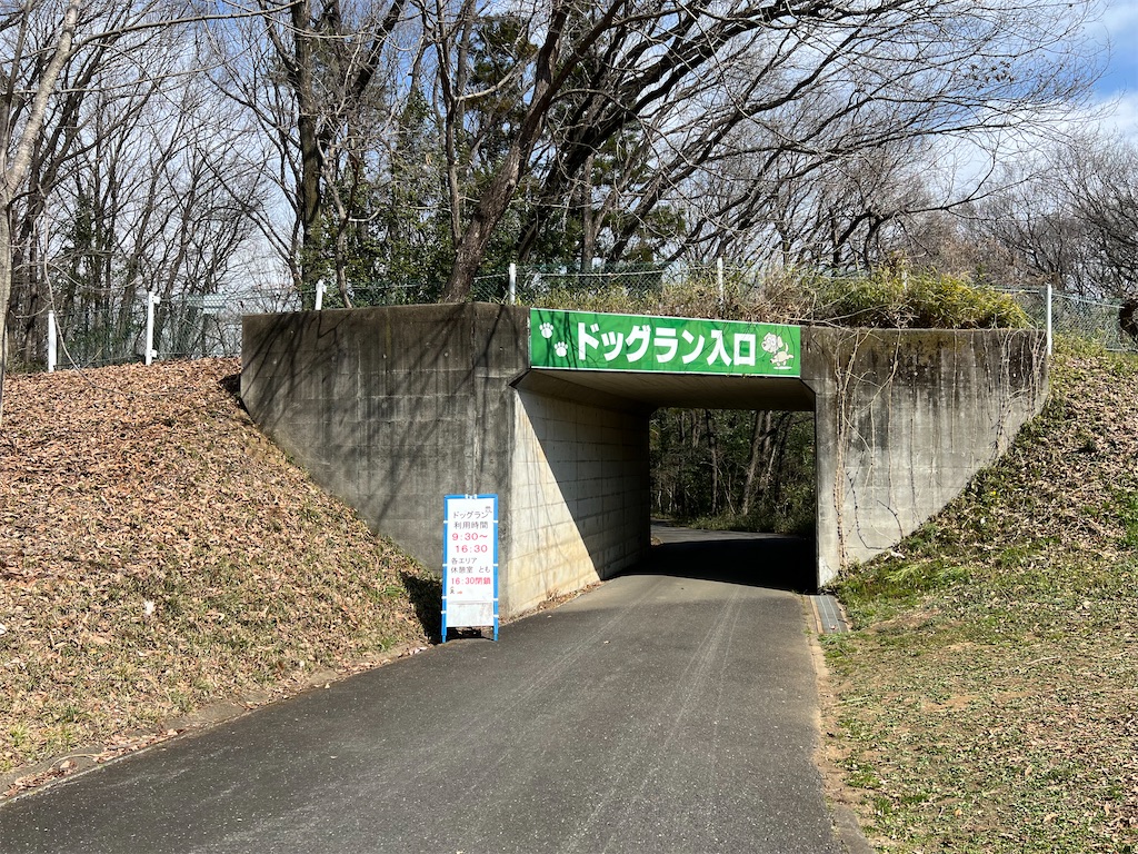 f:id:tabisin:20240324210156j:image