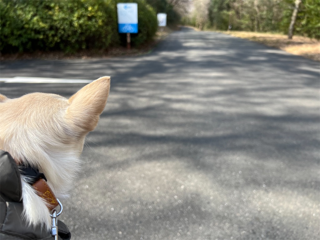 f:id:tabisin:20240324210200j:image