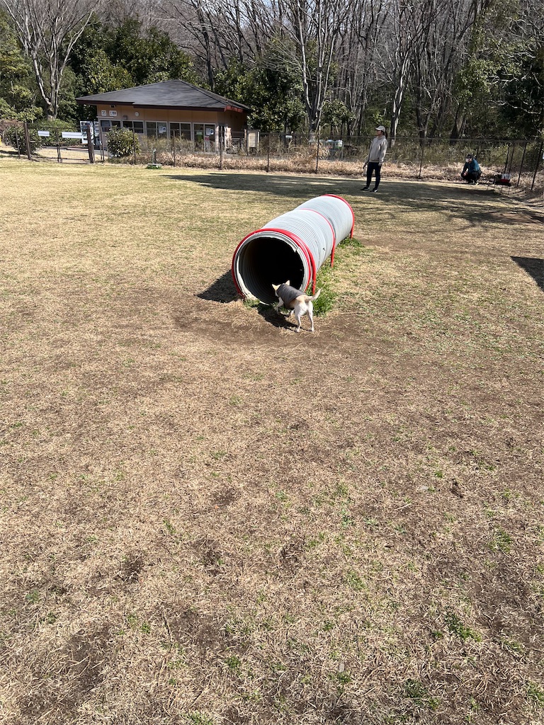 f:id:tabisin:20240324210207j:image