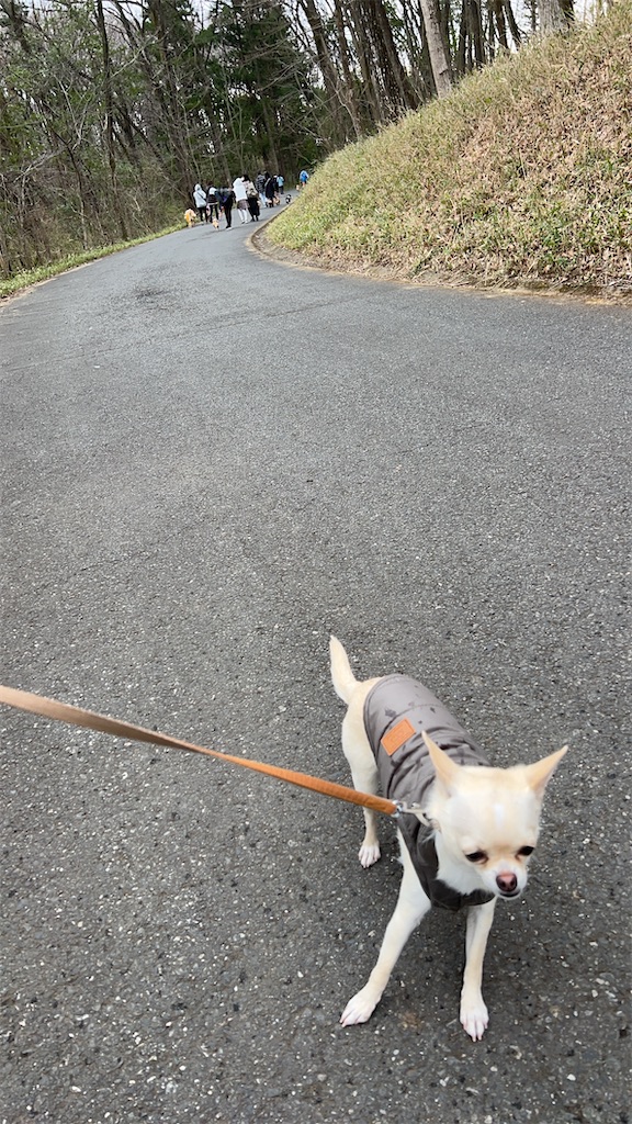 f:id:tabisin:20240324210218j:image