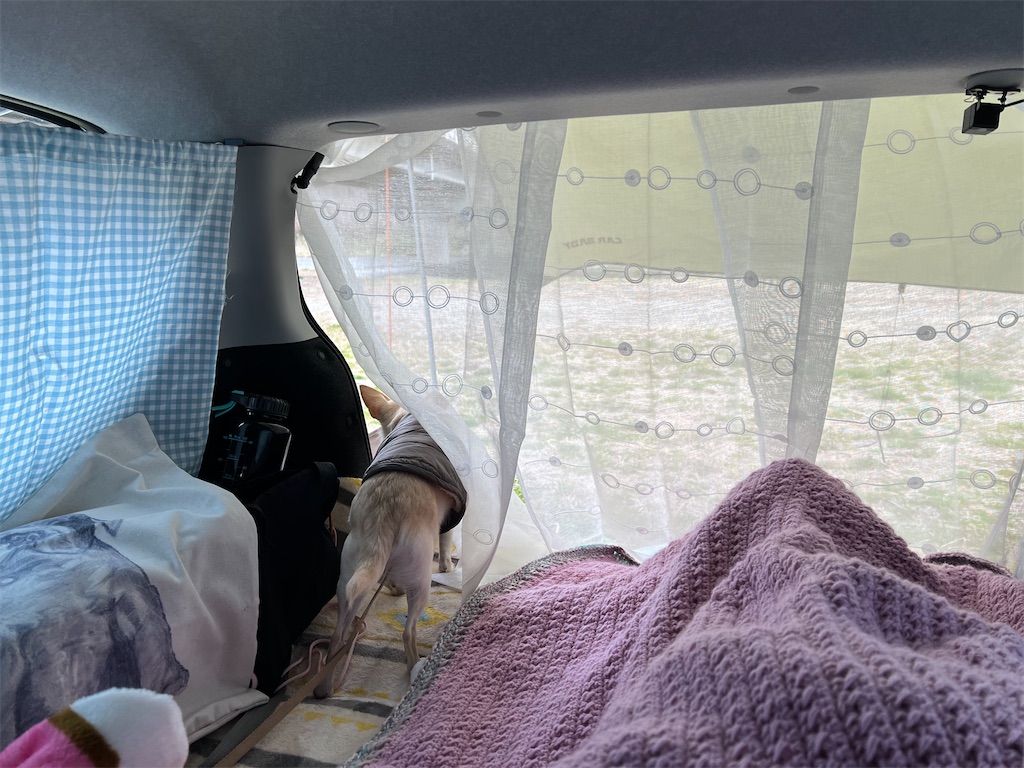 f:id:tabisin:20240331202505j:image