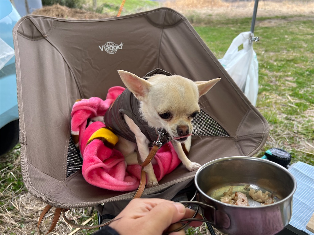 f:id:tabisin:20240331213145j:image